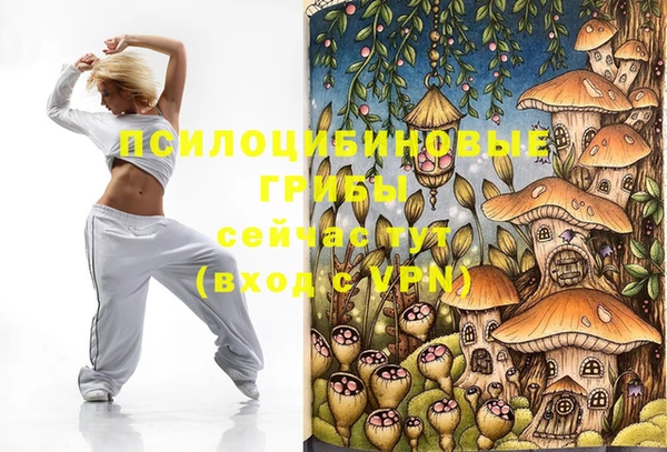 спиды Надым